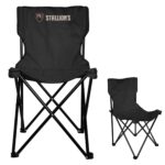 Rpet Folding Chair With Carrying Bag - 3